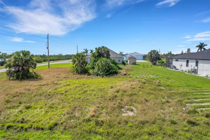 Ground Level View Of The Vacant Land