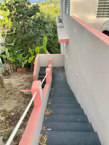 STAIRCASE TO LOWER LEVEL AREA VIEW