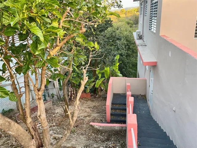 STAIRCASE TO LOWER LEVEL AREA VIEW