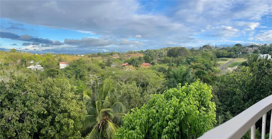 BALCONY AREA VIEW
