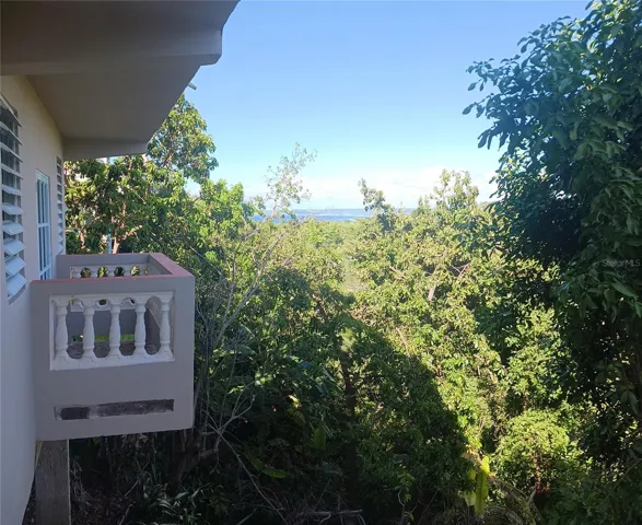 LOWER LEVEL BALCONY VIEW