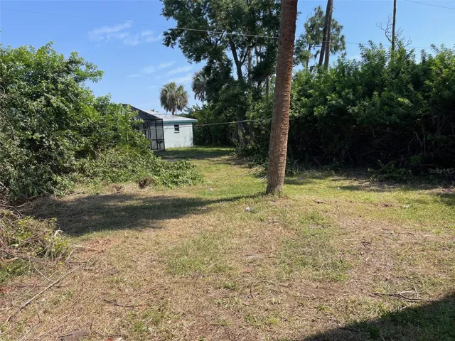 Back yard
