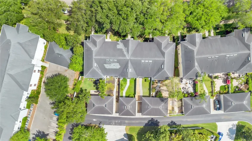 Bird Eye's View