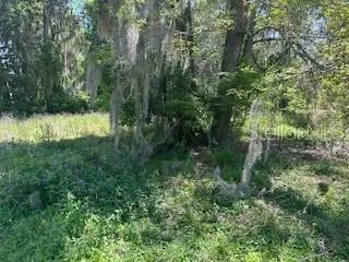 PARTIALLY CLEARED LOT 28