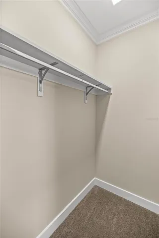 Guest Bedroom Walk-in Closet