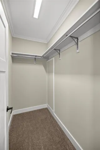 Guest Bedroom Walk-in Closet