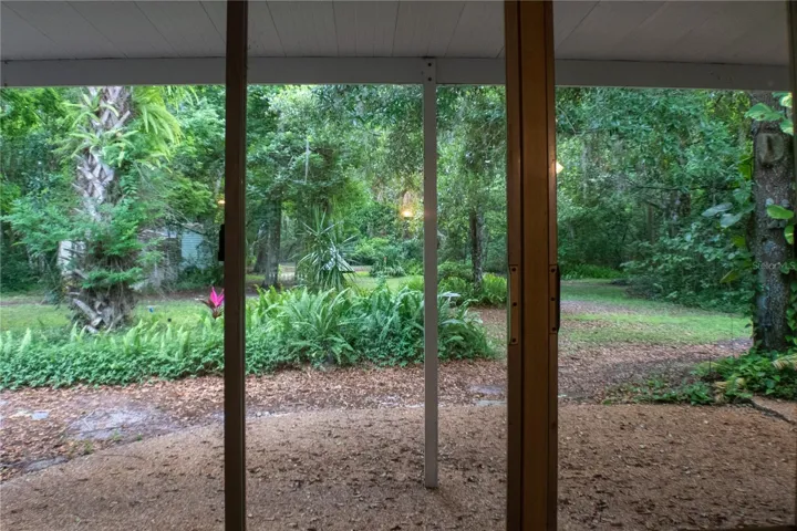 Backyard view