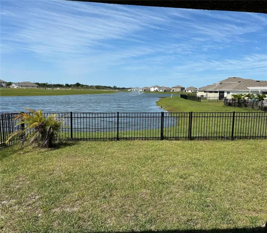 Back Yard 3