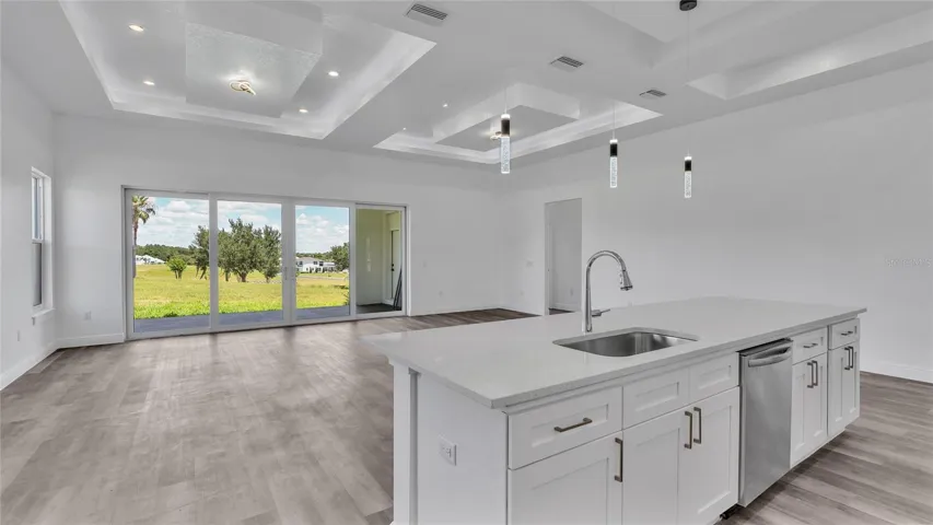 Kitchen/Dining Room/Open Concept