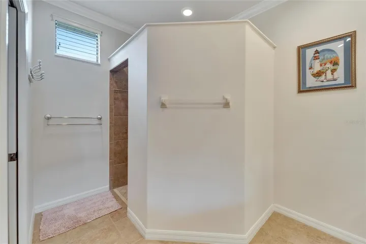 Primary Bath Walk-In Shower