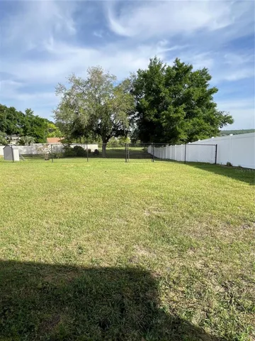 Backyard
