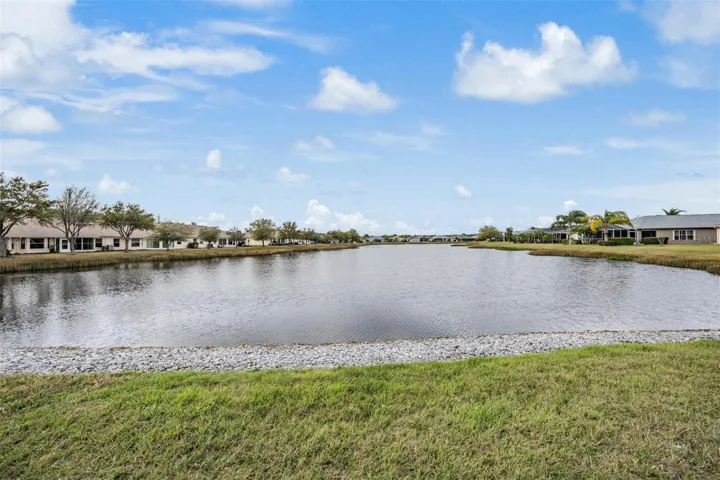 Pond view