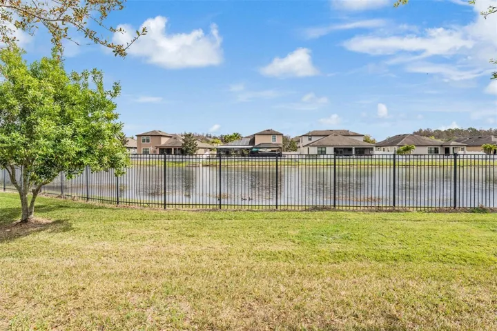 Pond views