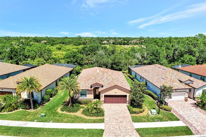 Aerial View with Preserve in Rear