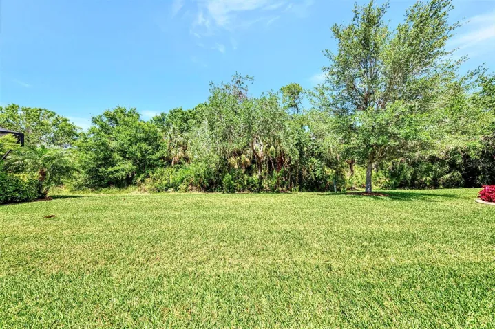 View from Covered Lanai of Large Rear Yard/Preserve View
