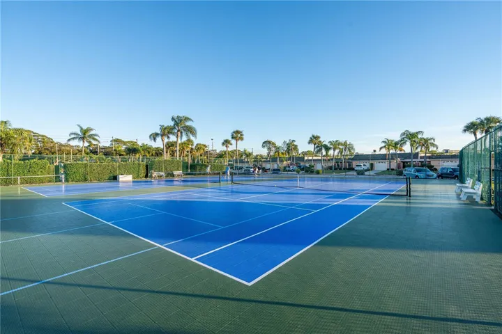 Pickle Ball