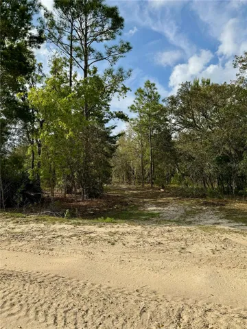 entrance to property.