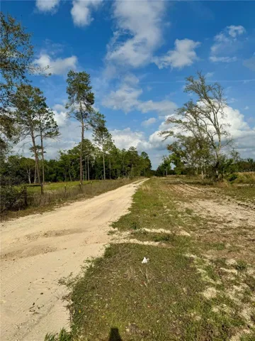 Facing the lot, road leading to property from the East.