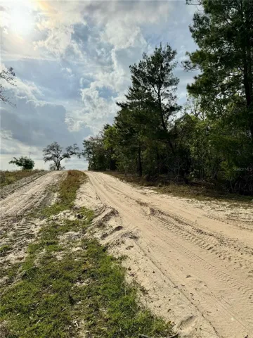 Facing the lot, road leading to property from the West.