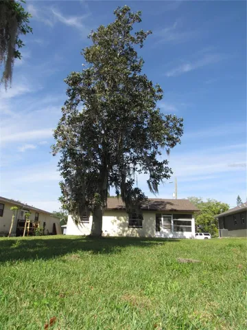 VIEW OF THE BACK YARD & HUGE MAGNOLIA TREE
