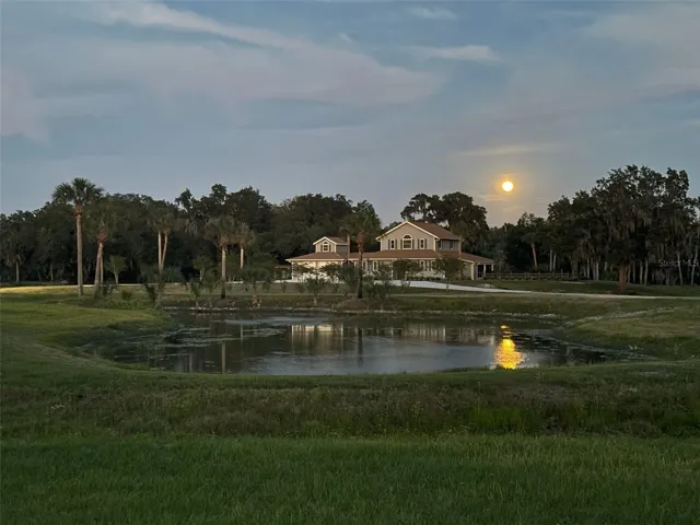 Evening Moon