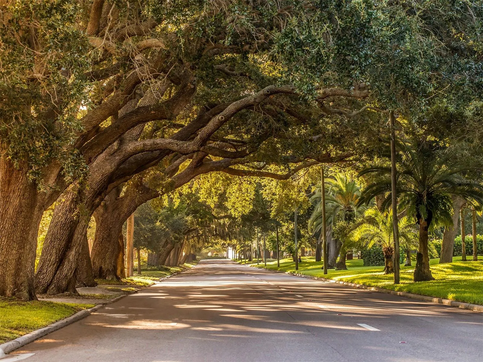 Chestnut Rd, Venice, Florida 34293, ,Land,For Sale,CHESTNUT,A4606718
