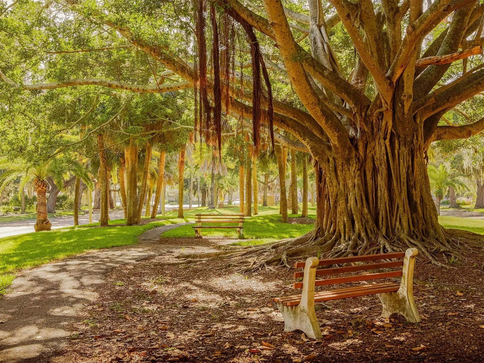 Chestnut Rd, Venice, Florida 34293, ,Land,For Sale,CHESTNUT,A4606718