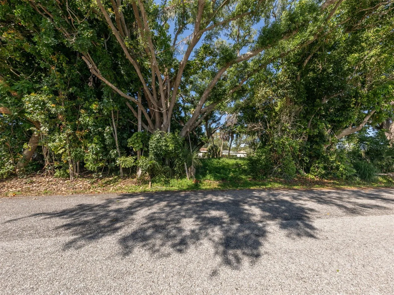 Chestnut Rd, Venice, Florida 34293, ,Land,For Sale,CHESTNUT,A4606718