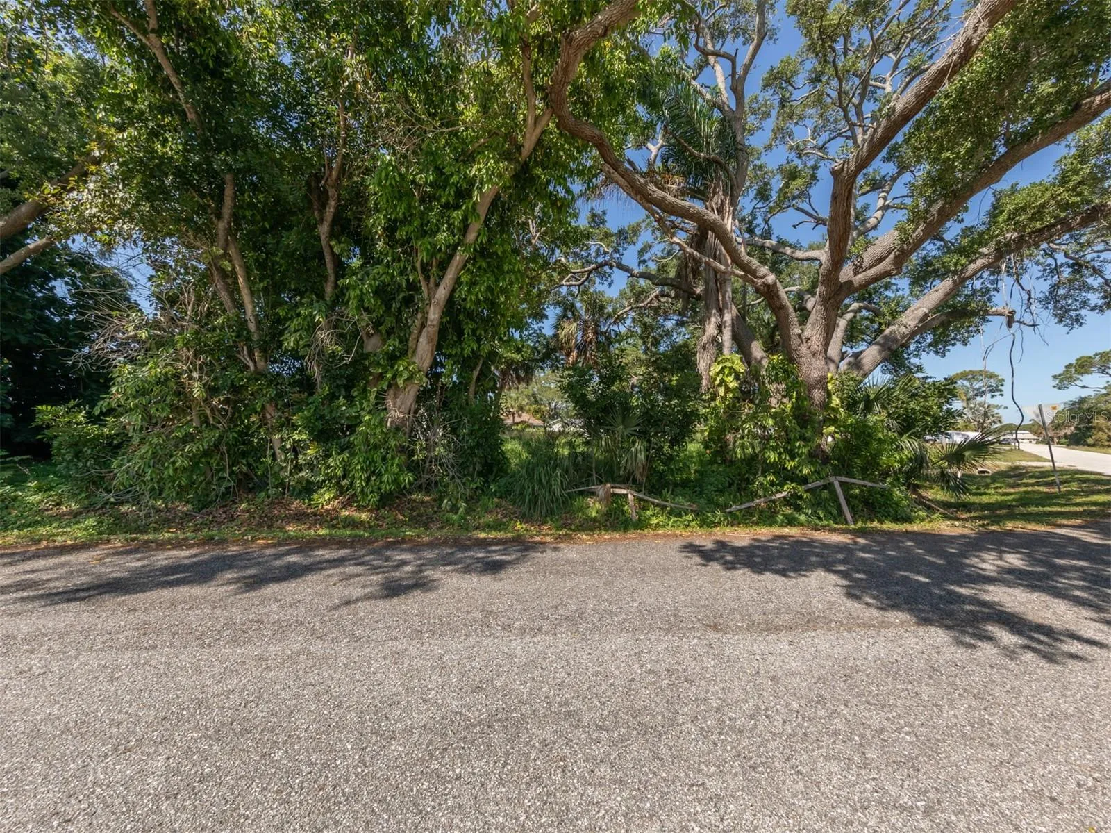 Chestnut Rd, Venice, Florida 34293, ,Land,For Sale,CHESTNUT,A4606718