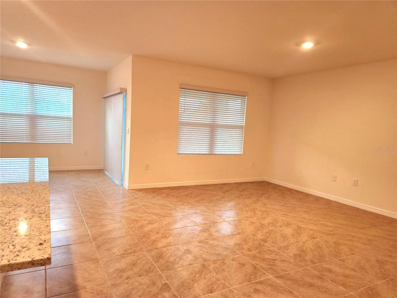 Living/Dining Room Combo