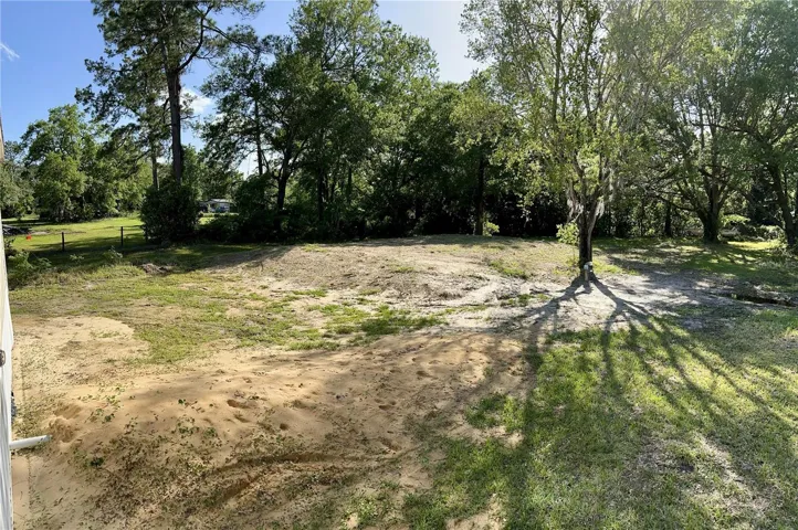 Backyard View