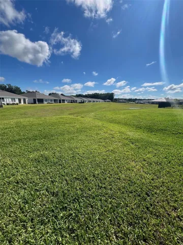 Backyard- No rear neighbors!