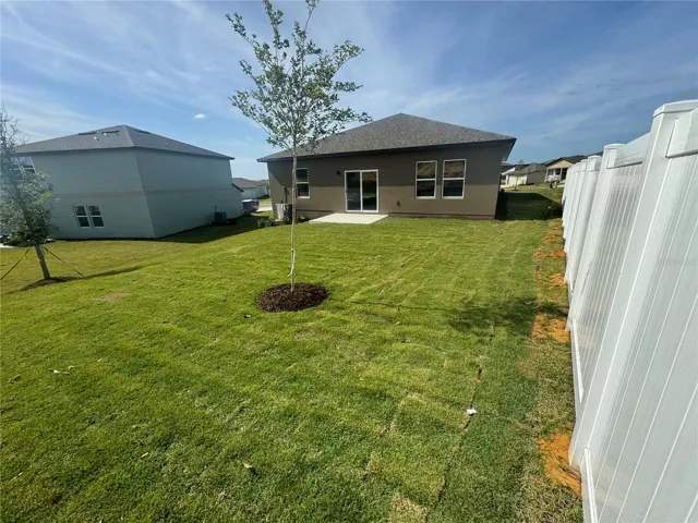 Backyard 3