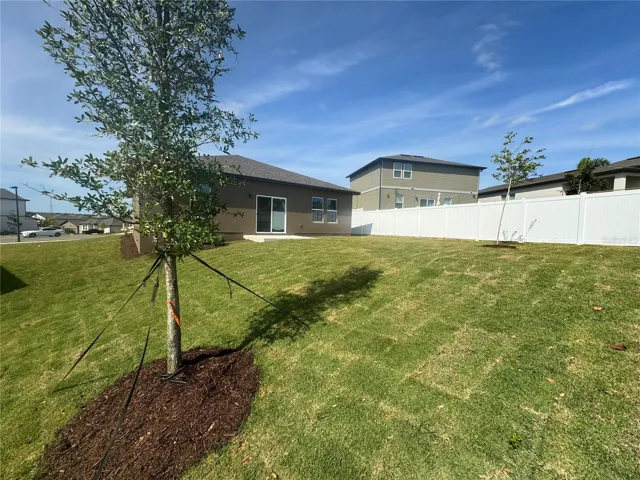 Backyard 1