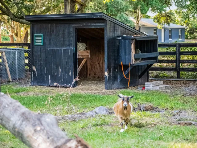 Baaaaaaa