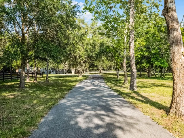 Driveway to paradise!
