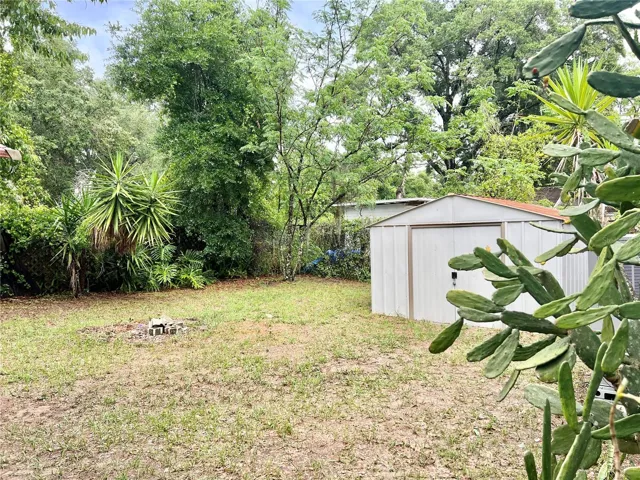 Backyard View