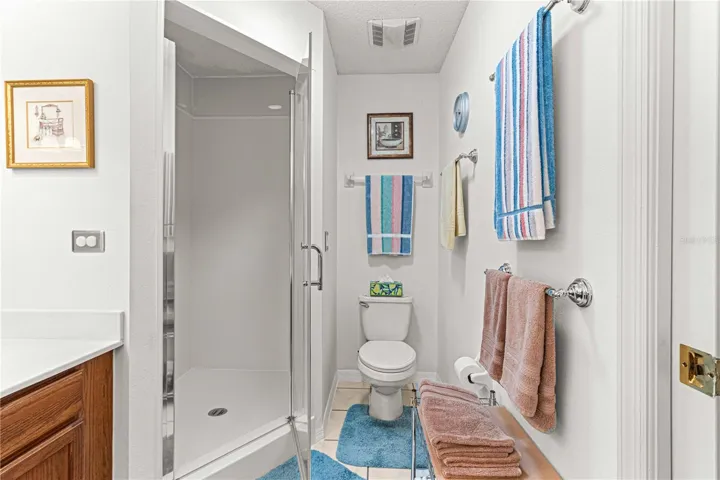 Updated Step In Shower