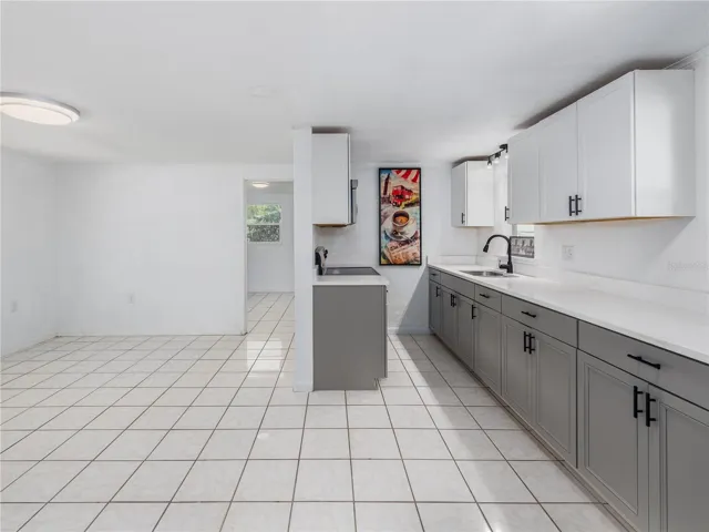 Kitchen / Living Room