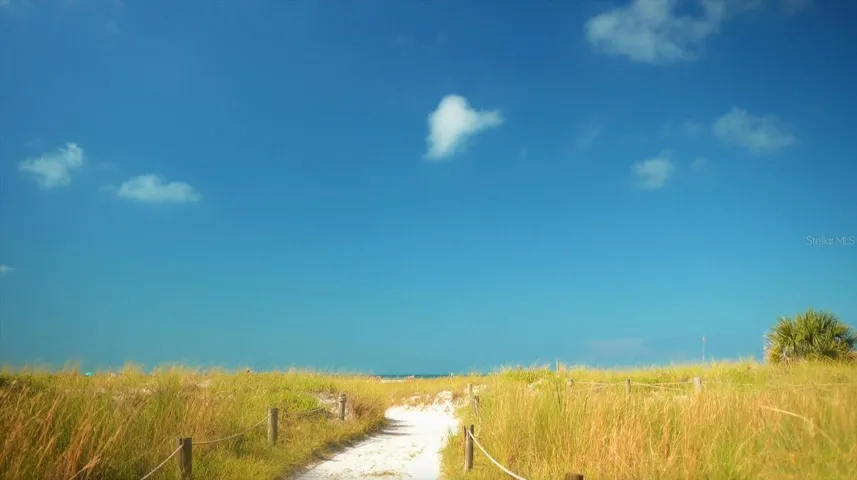 Your path to paradise.