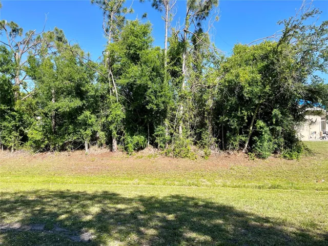 Back of lot along the greenbelt