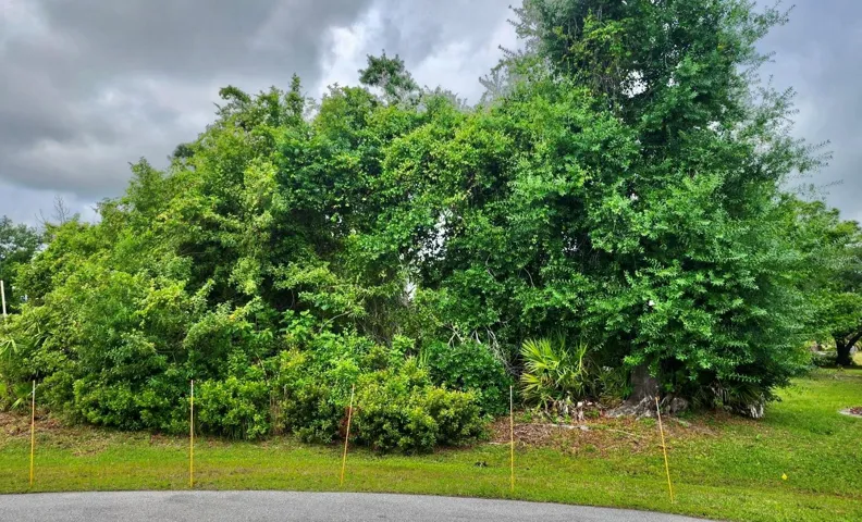 Front of lot.