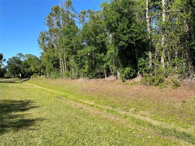 Looking North up the greenbelt from the back of the lot.