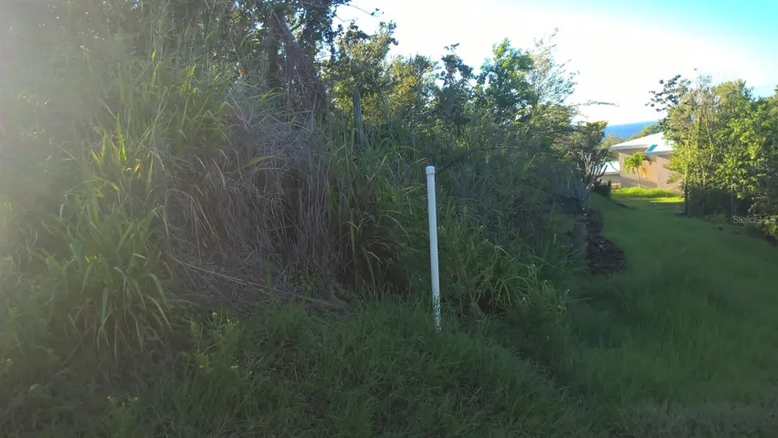 NorthWest Corner of Lot