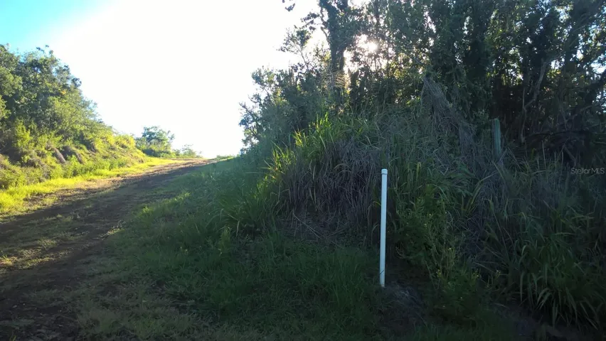 NorthWest Corner of Lot