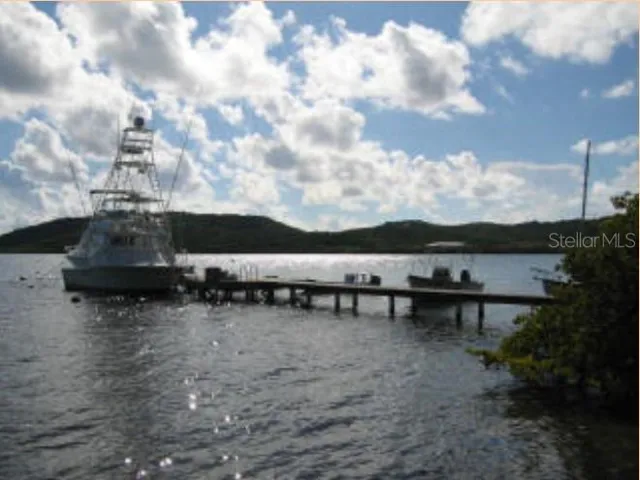 120 Foot Private Community Dock
