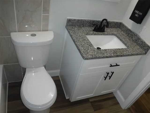 Vanity & Toilet