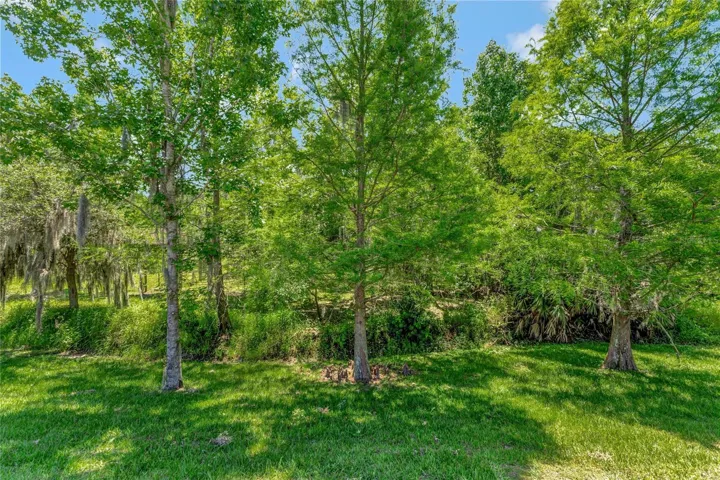 Backyard View