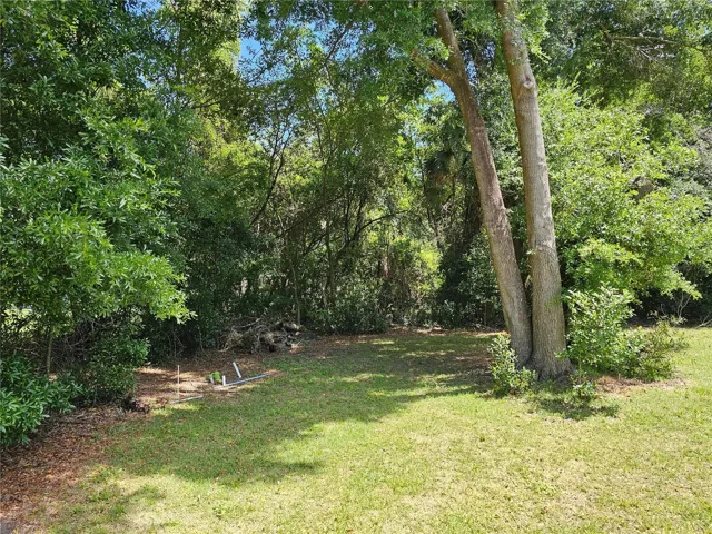 In the middle of the property