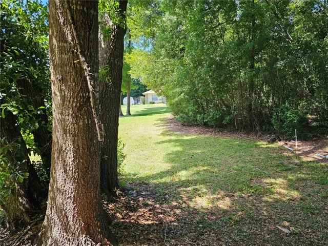 Middle of the property looking at the tree line on the front of the property